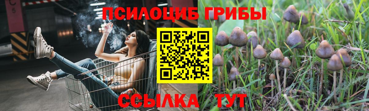 Псилоцибиновые грибы ЛСД Белорецк