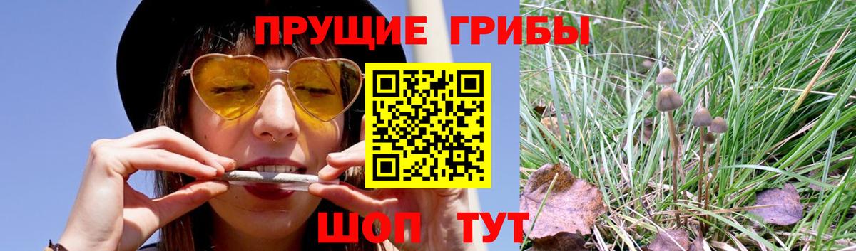 Белорецк  Галлюциногенные грибы прущие грибы  Вход с VPN 